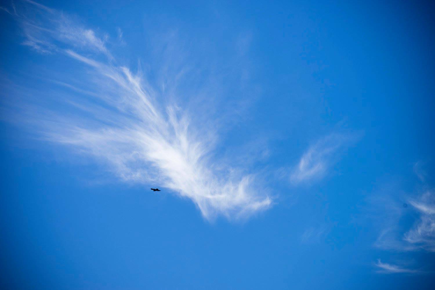 A Vapor