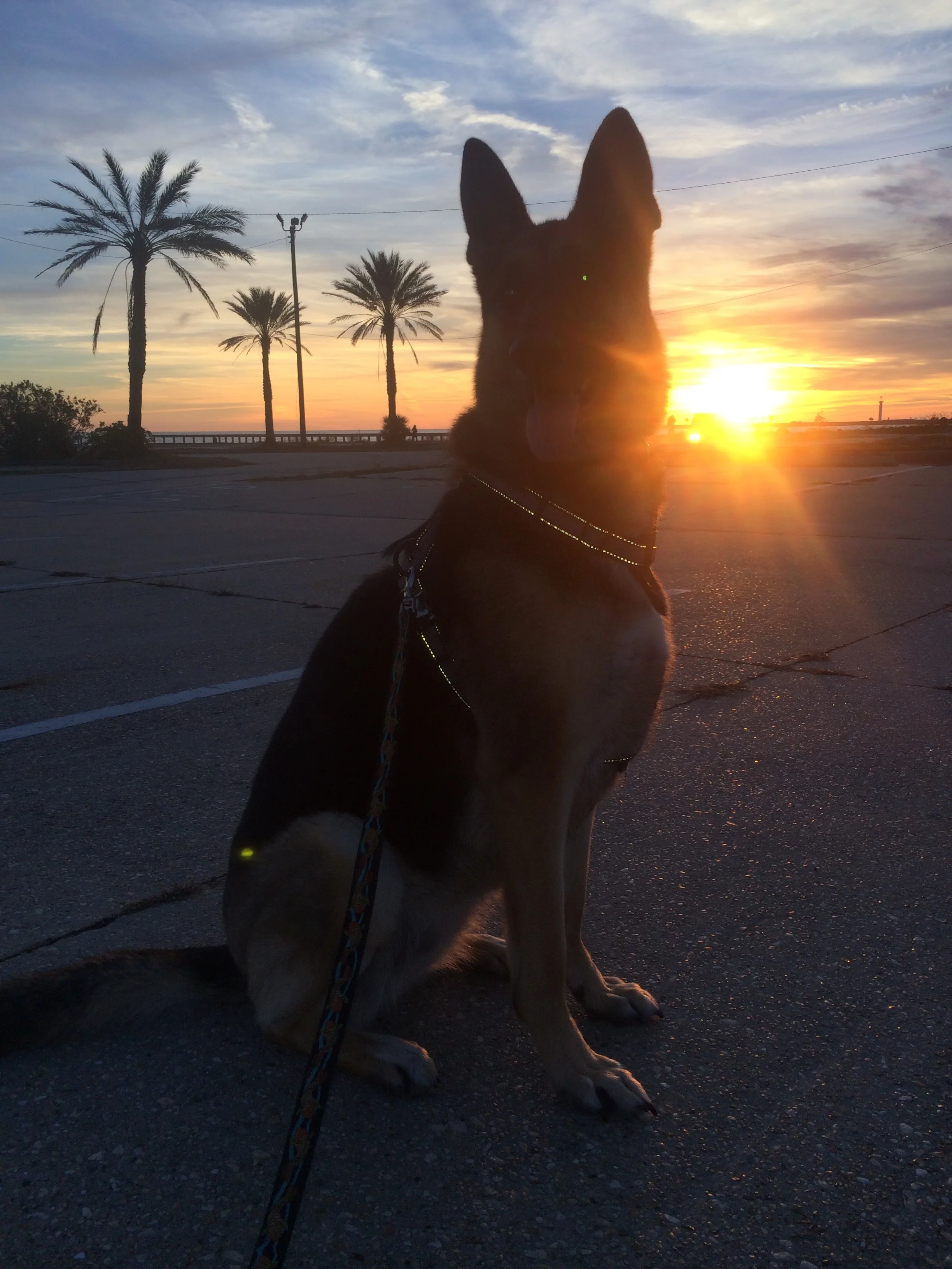 Force of Nature & A Dirty Little Secret