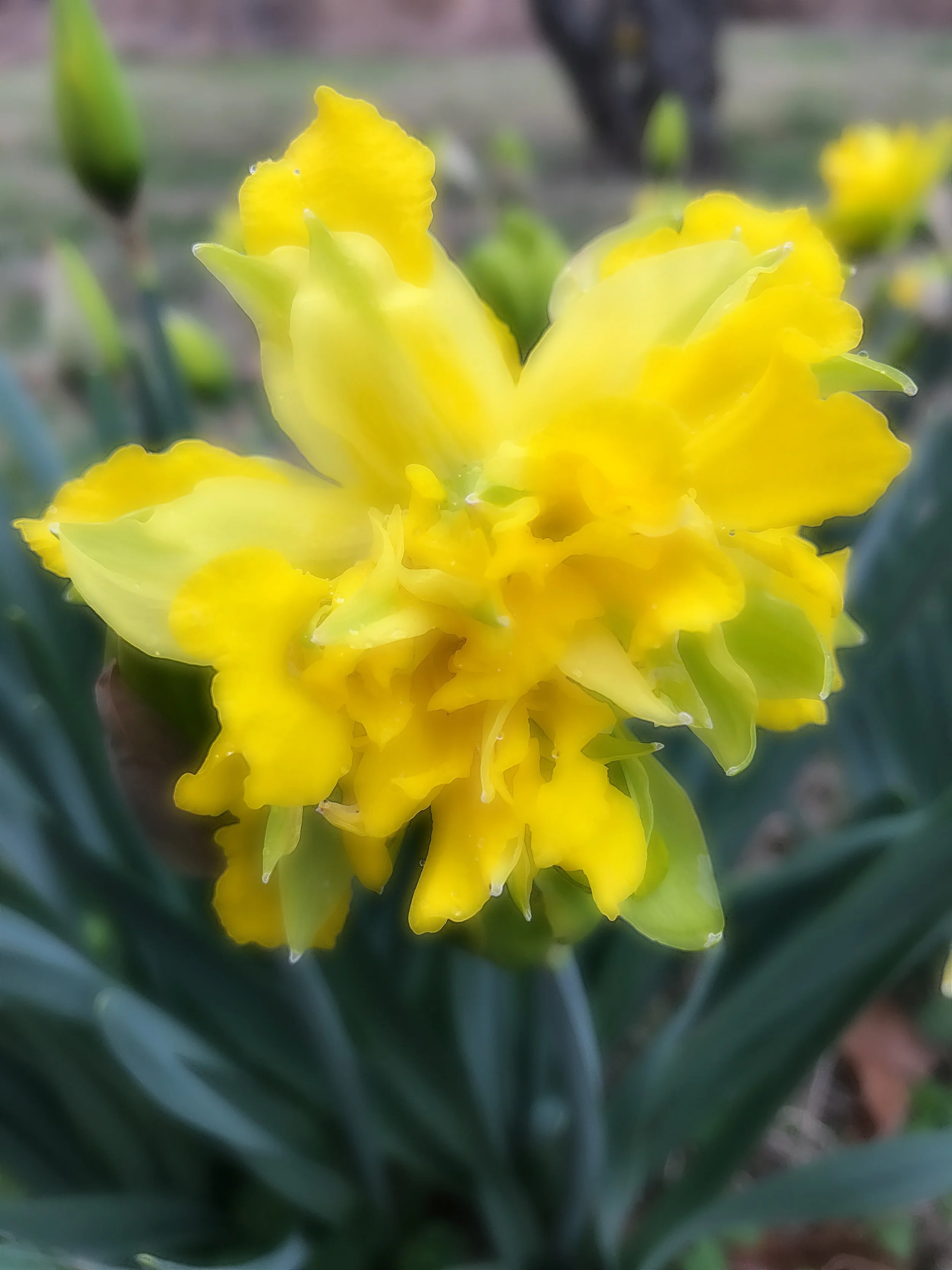 National Poetry Month