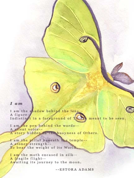 INTMOTH-IAM.jpg
