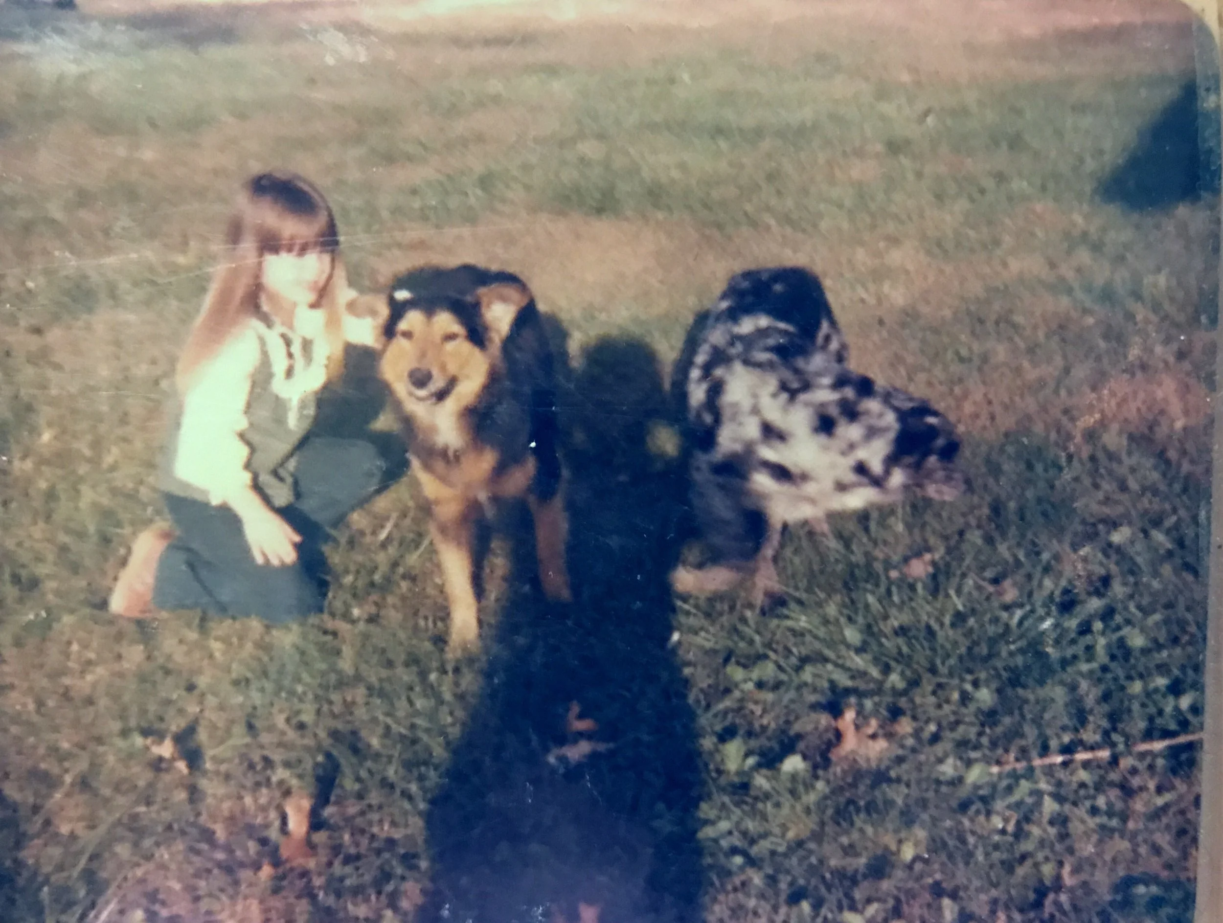 The Stories Behind the Photos