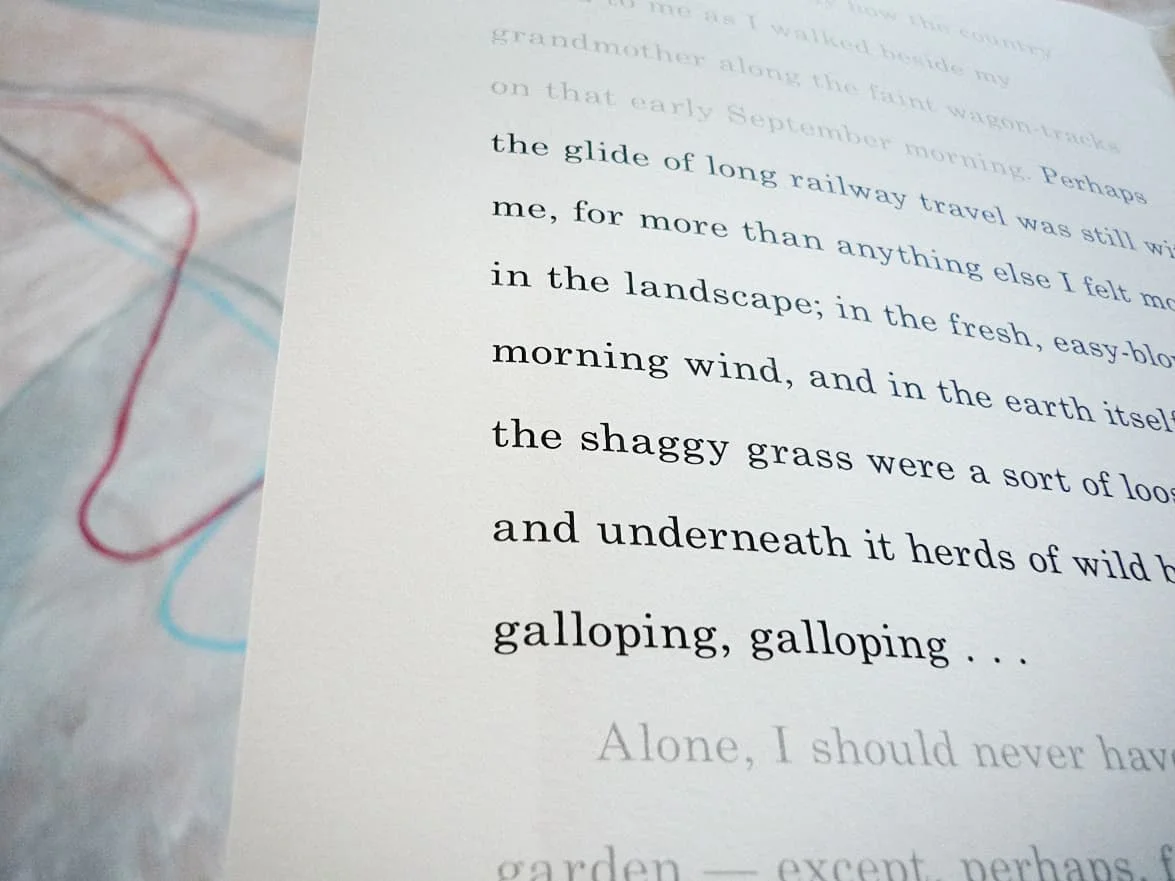 My Ántonia: Lost and Found (2012) Installation 50 × 50 ft. Detail of text page Hoffman Gallery, Oregon College of Art and Craft, Portland, OR 