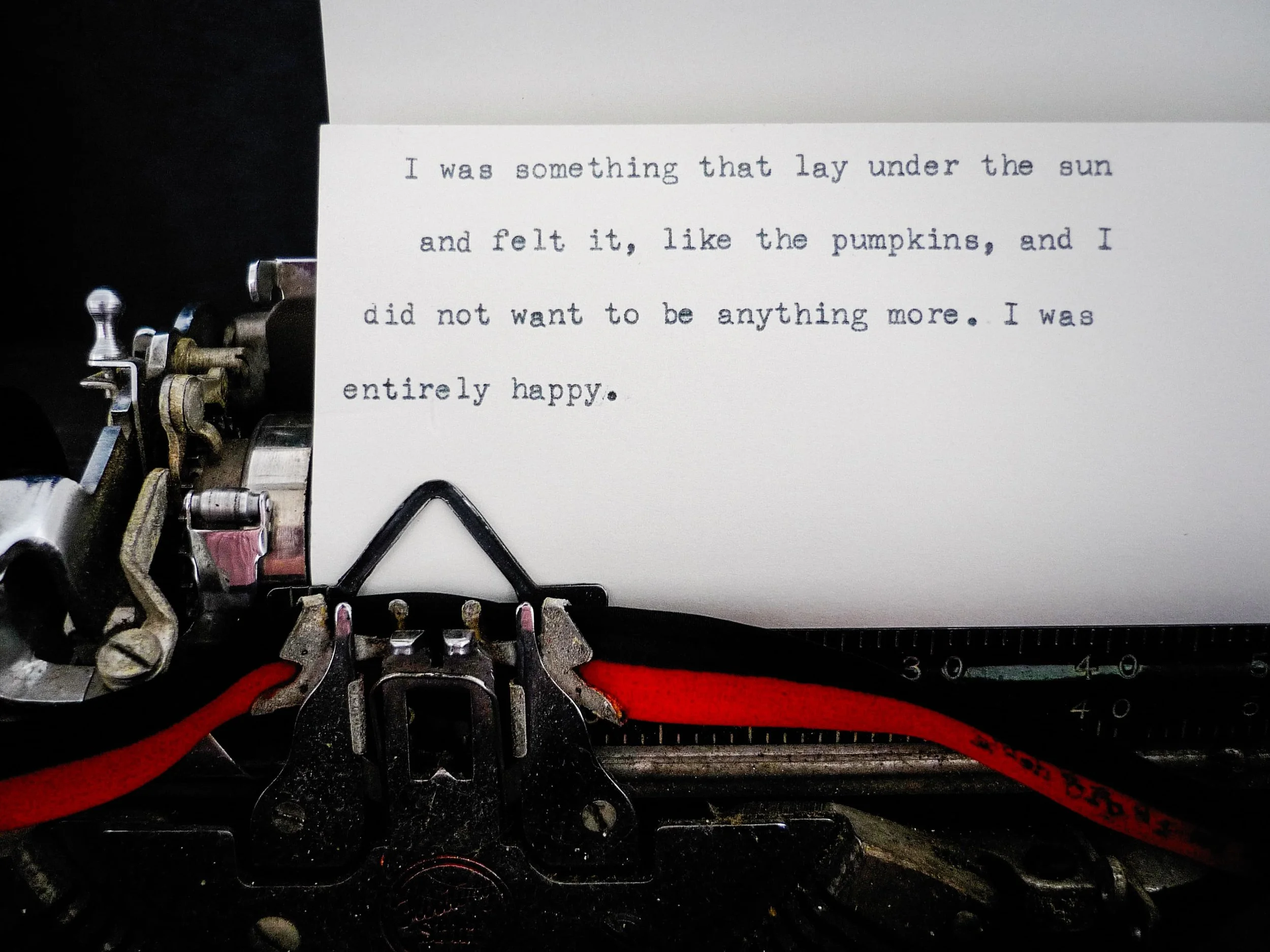 A Close Read: My Ántonia (2010) Installation 50 × 50 ft. Detail of typewriter on paper Feldenheimer Gallery, Reed College, Portland, OR