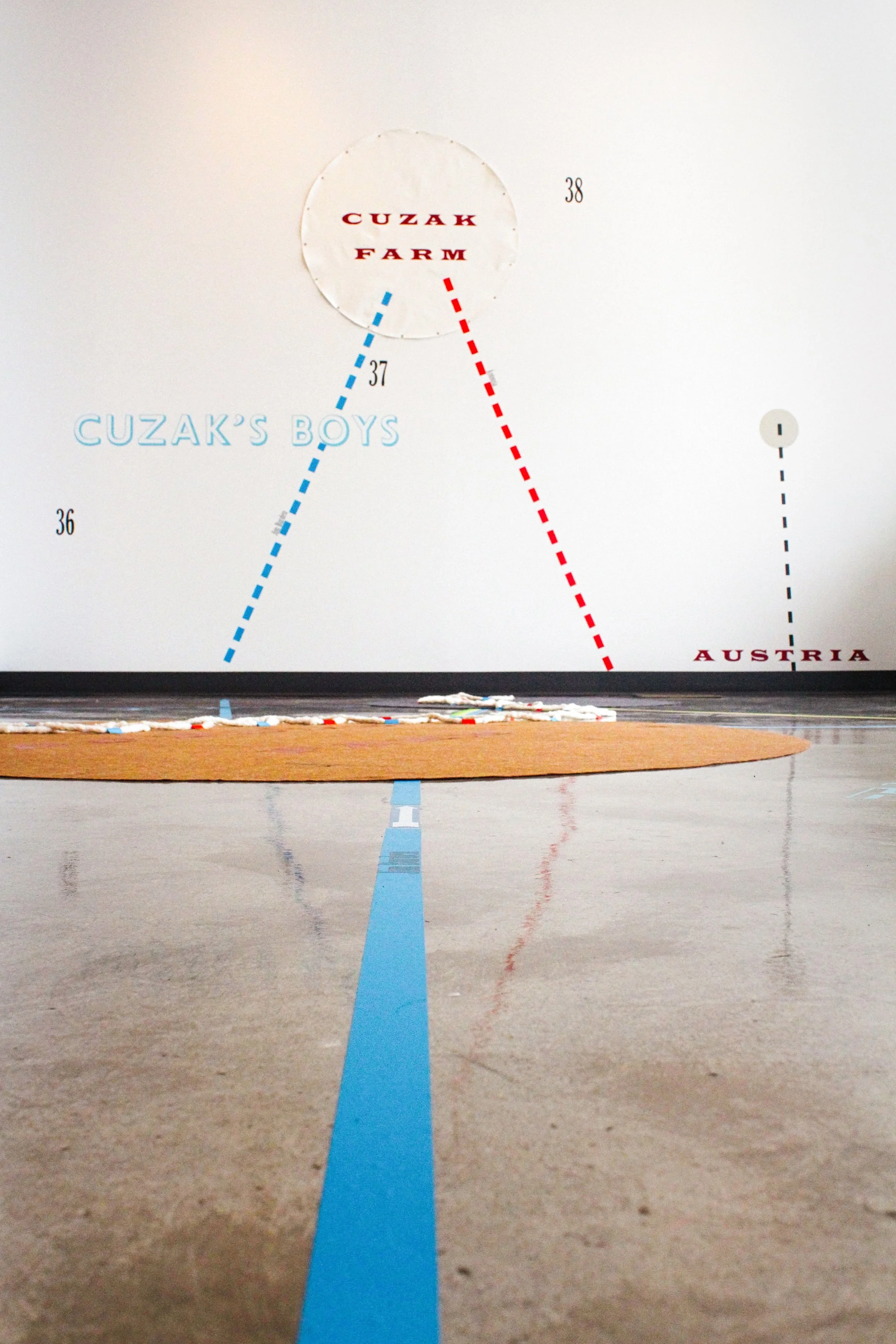My Ántonia; Instructions for Seeing (2015) Installation. 50 × 50 ft. Vinyl, felt and cotton cord. Constellation Studios, Lincoln, NE.