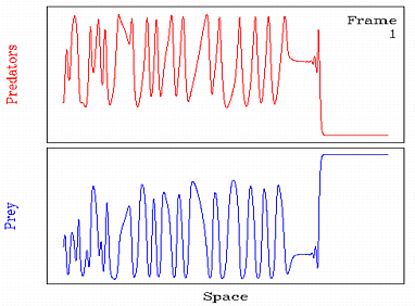 Computer_simulation_of_a_chaotic_wake,_preceeded_by_a_periodic_travelling_wave,_in_the_invasion_of_prey_by_predators.gif