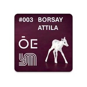 Podcast beszélgetés Borsay Attila építésszel 
