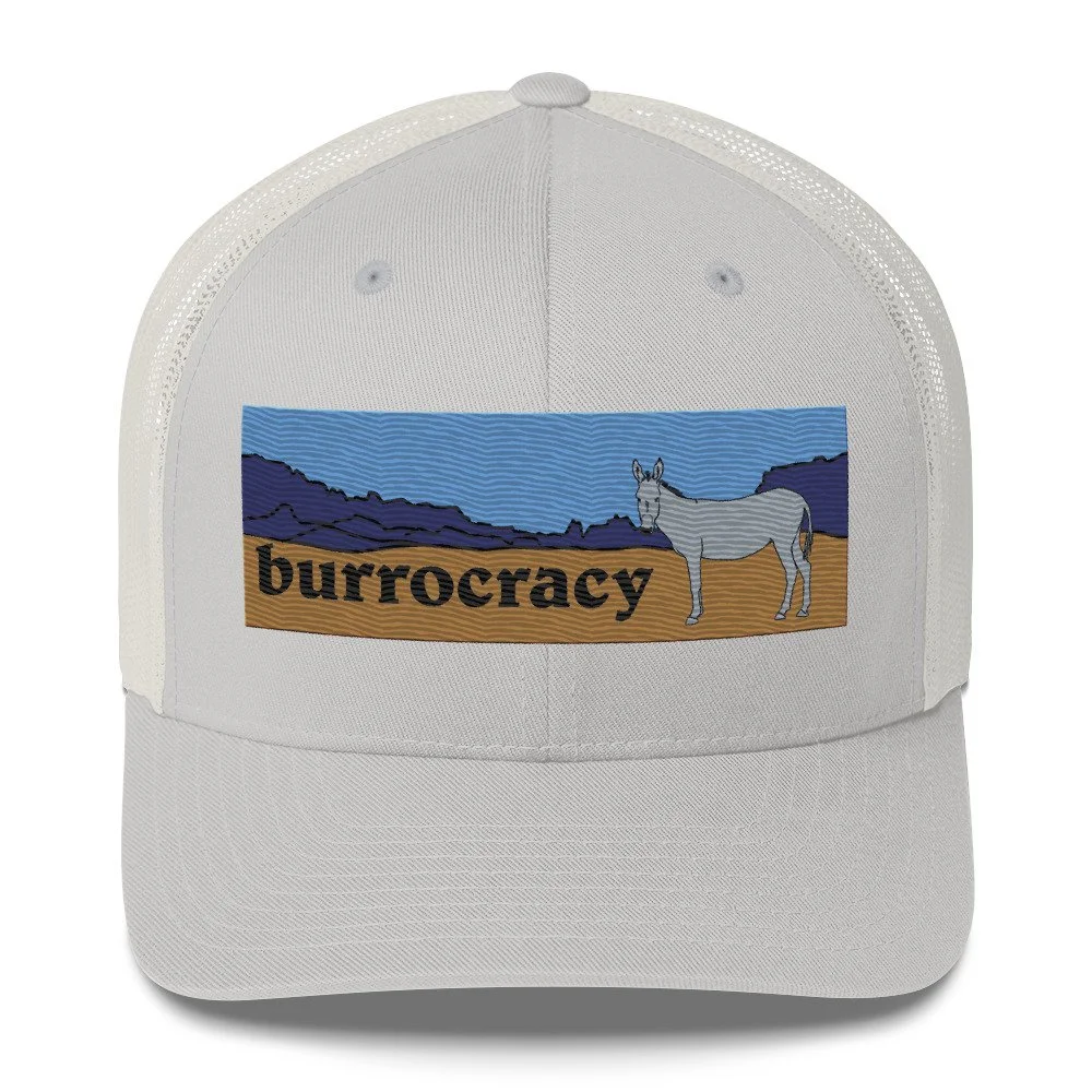 retro-trucker-hat-silver-front-692d4dbd684bd.jpg