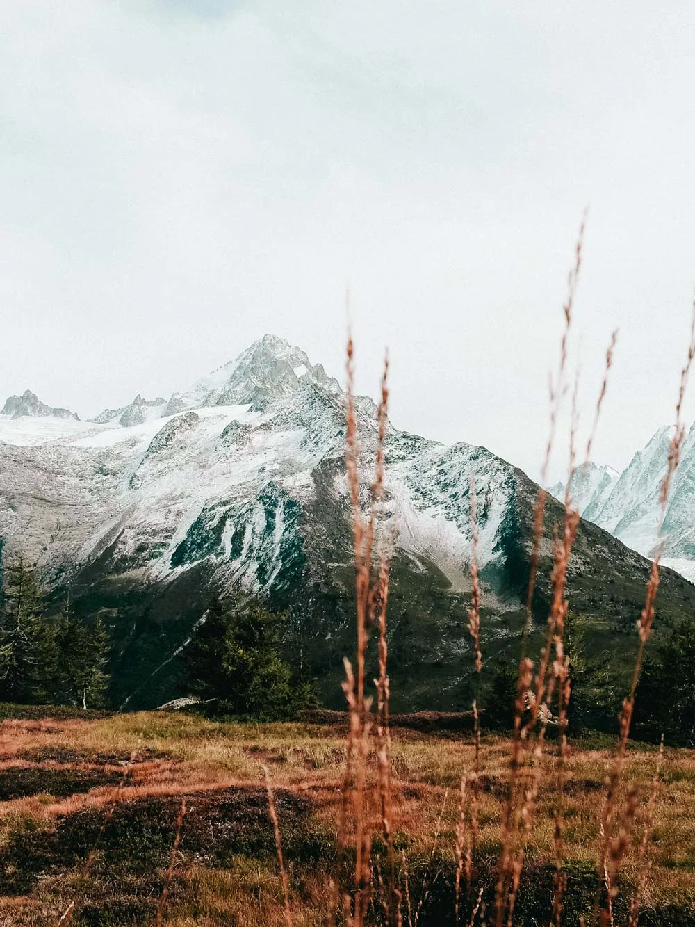 We_Are_Chamonix_BRANDING_01.jpg