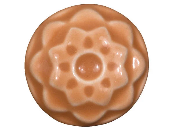 C-65_Tangelo_Cone5_Chip-HiRes.jpg