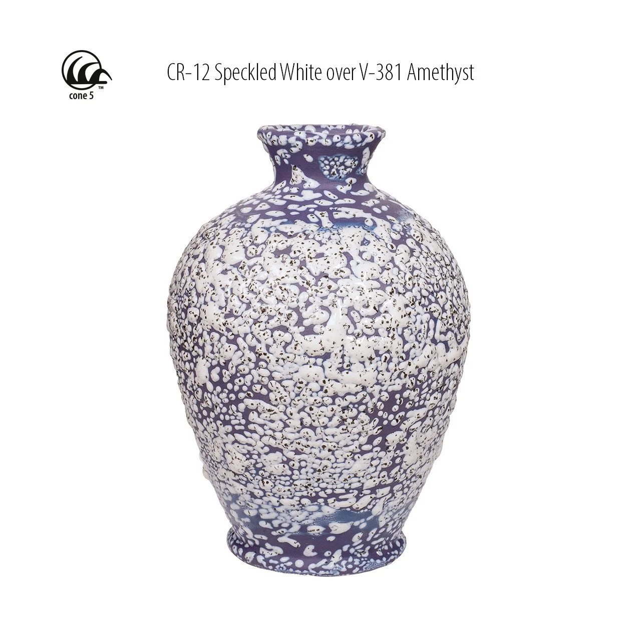 CR-12_over_V-381_Vase2_Website__73657.jpg