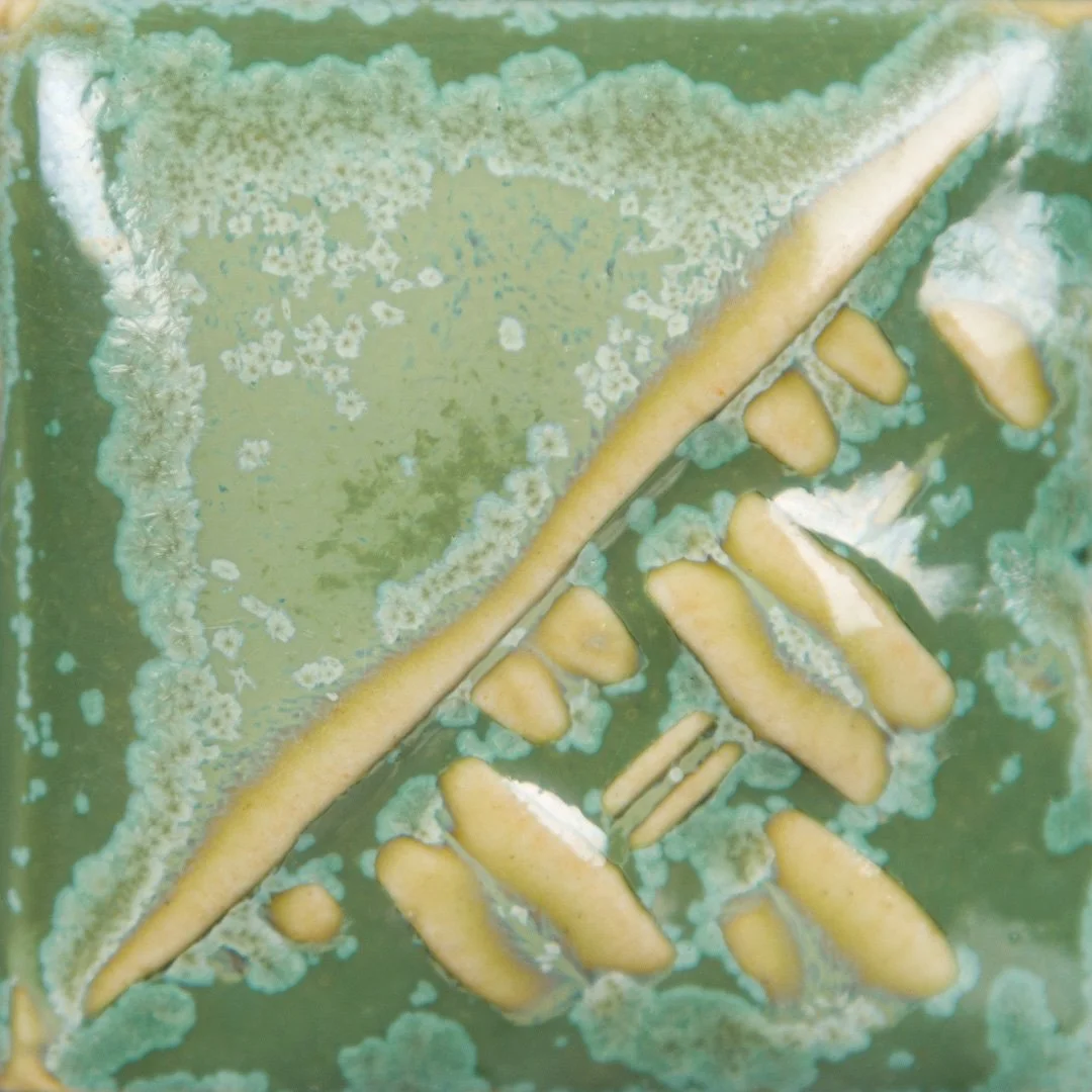 sw-193.jpg