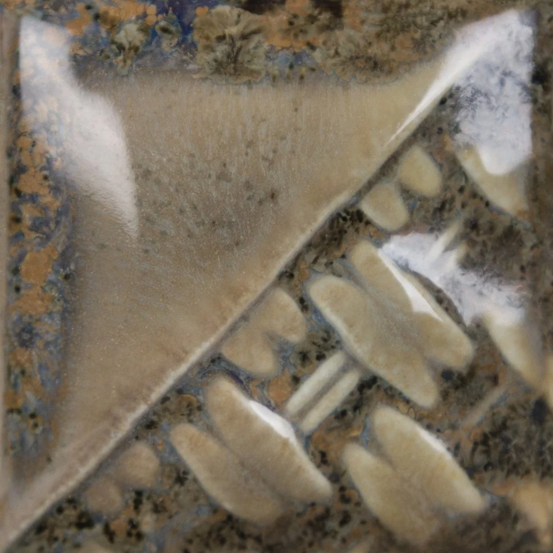 sw218_cone10.jpg