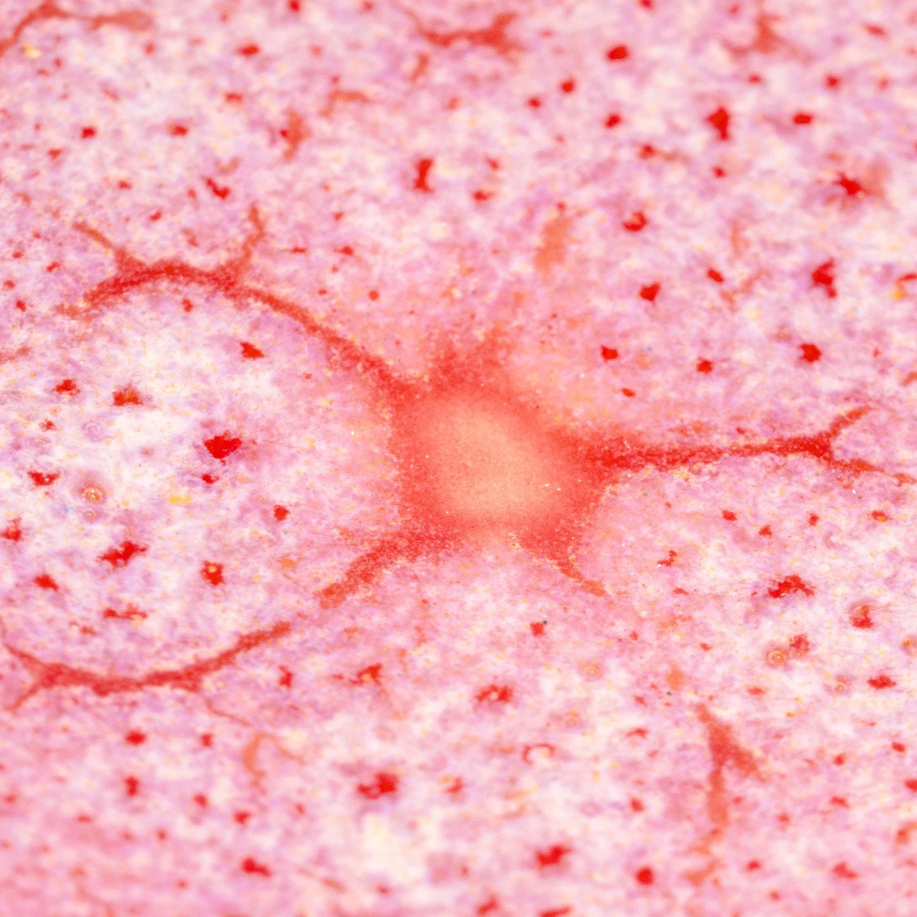 CR-17 over C-54_Macro2_WEB.jpg