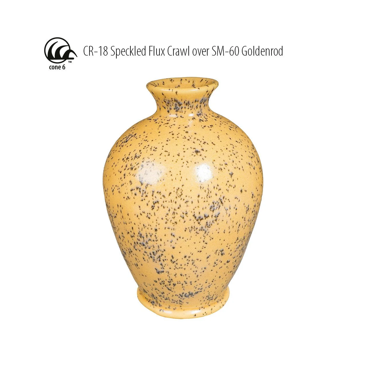 CR-18_over_SM-60_Vase_Website__64232.jpg