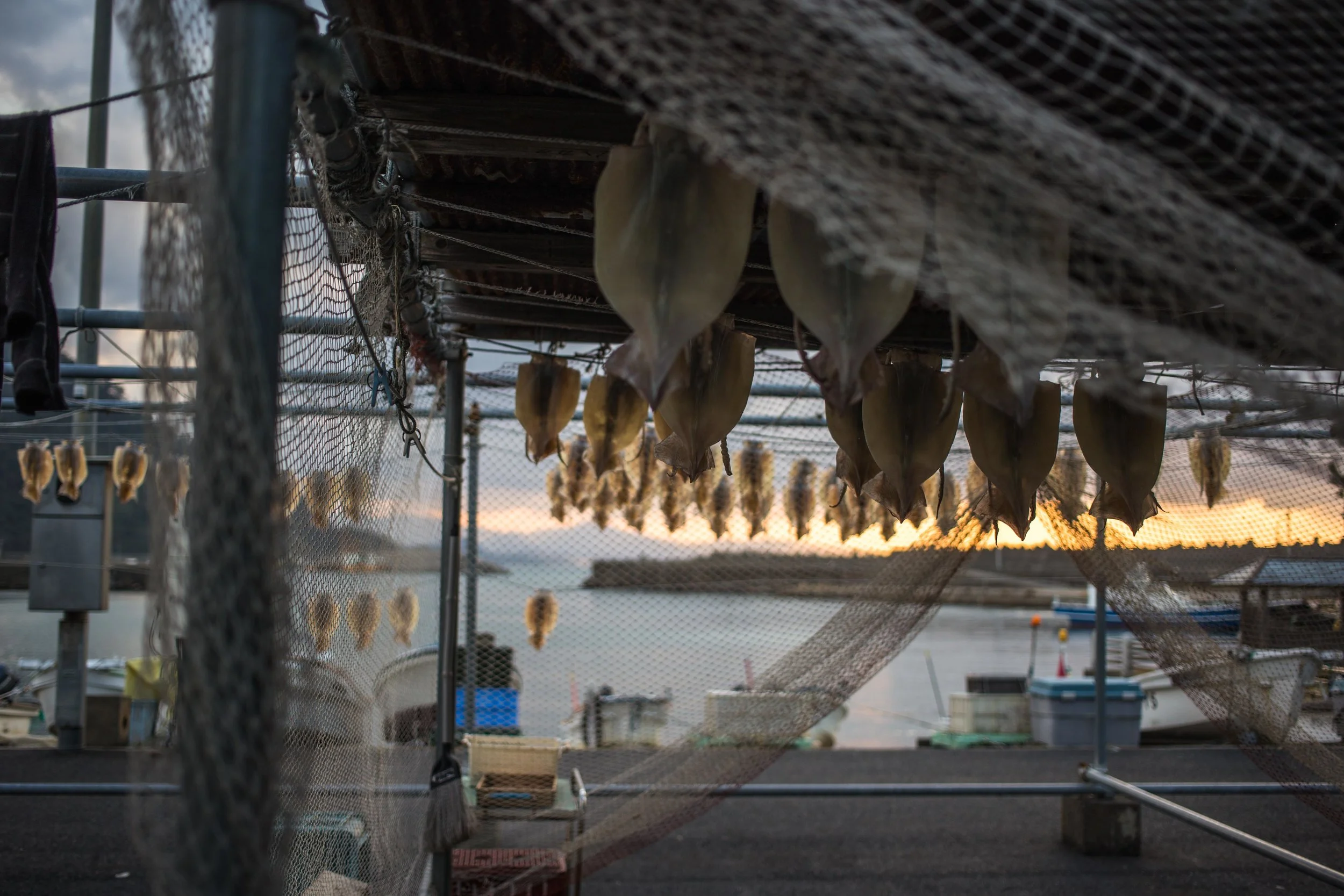 Japan2014_075.jpg