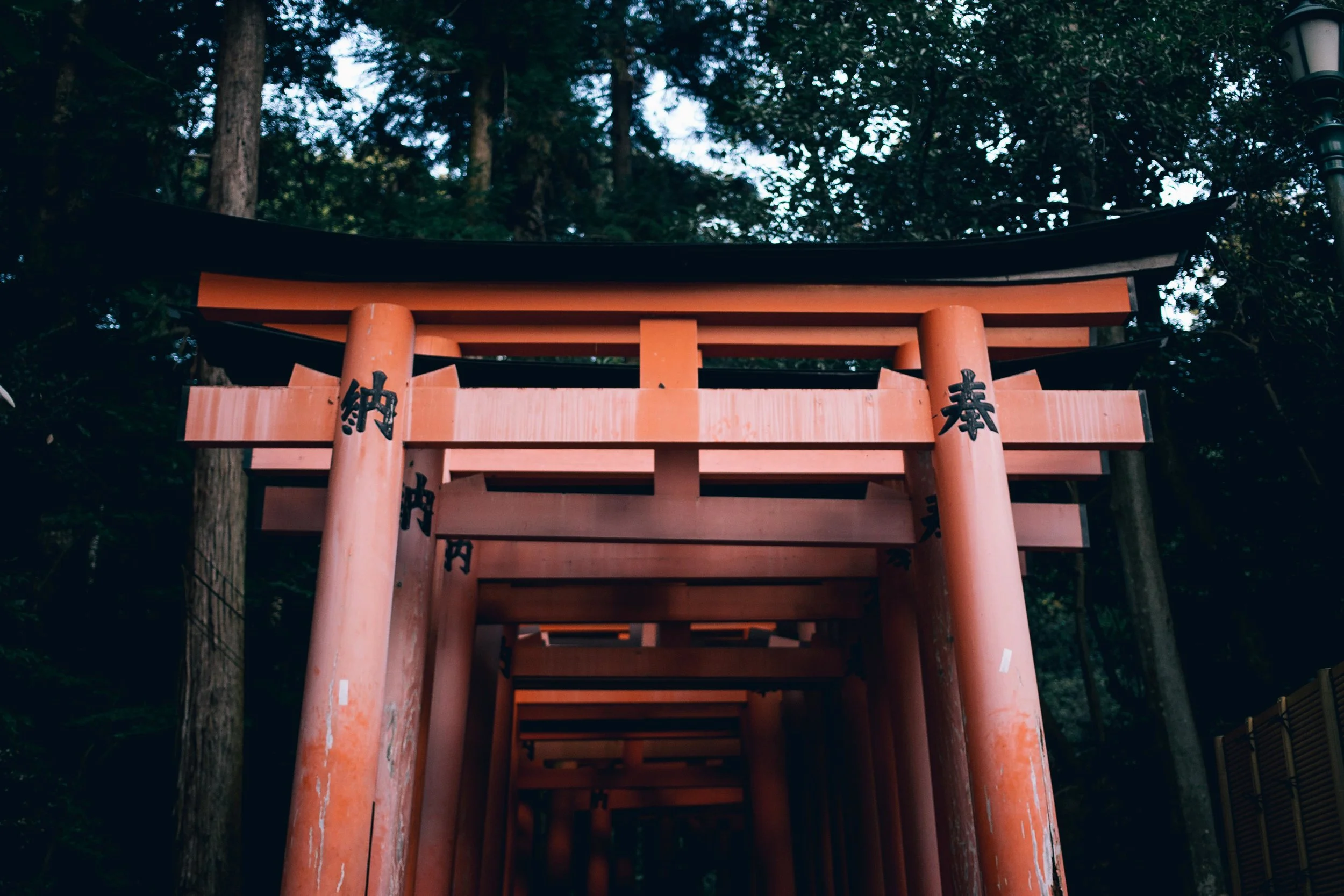 Japan2014_083.jpg