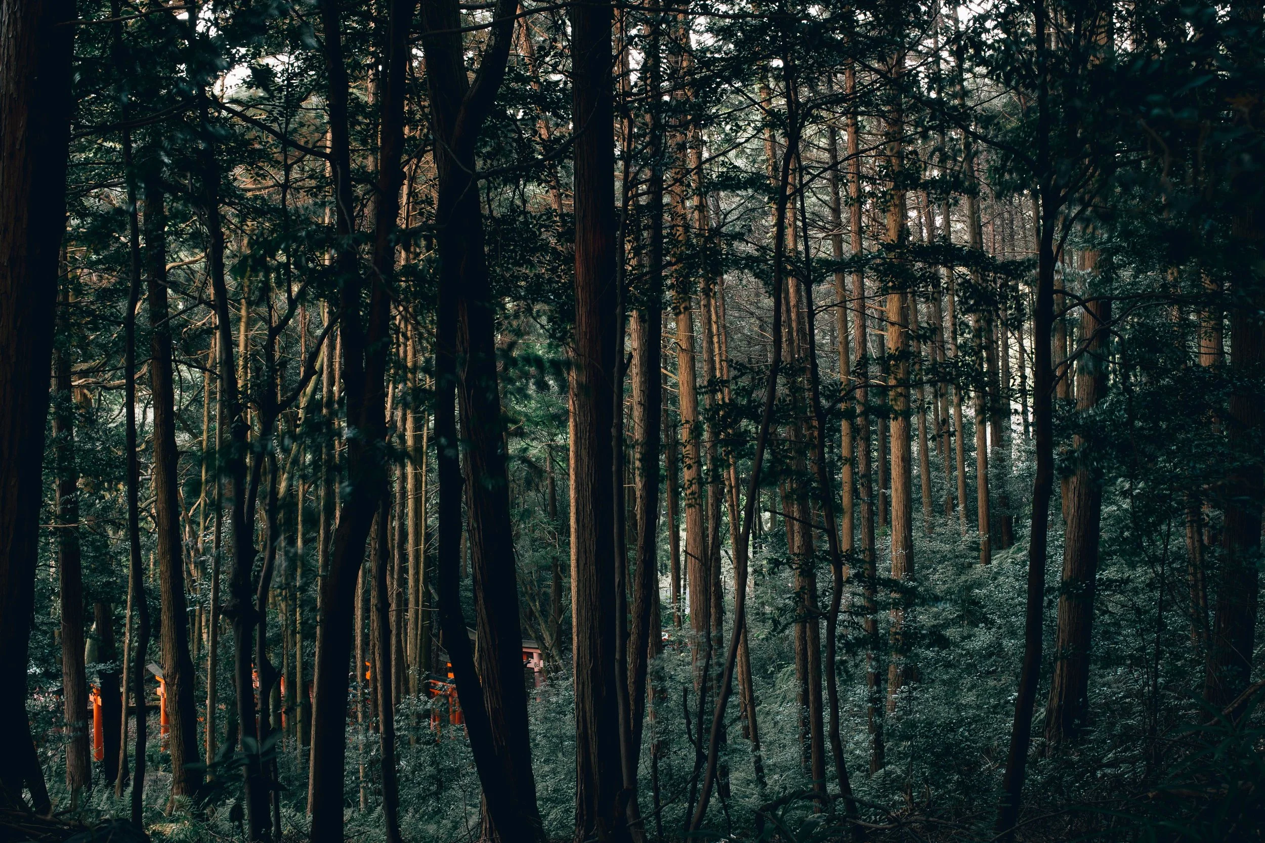 Japan2014_087.jpg