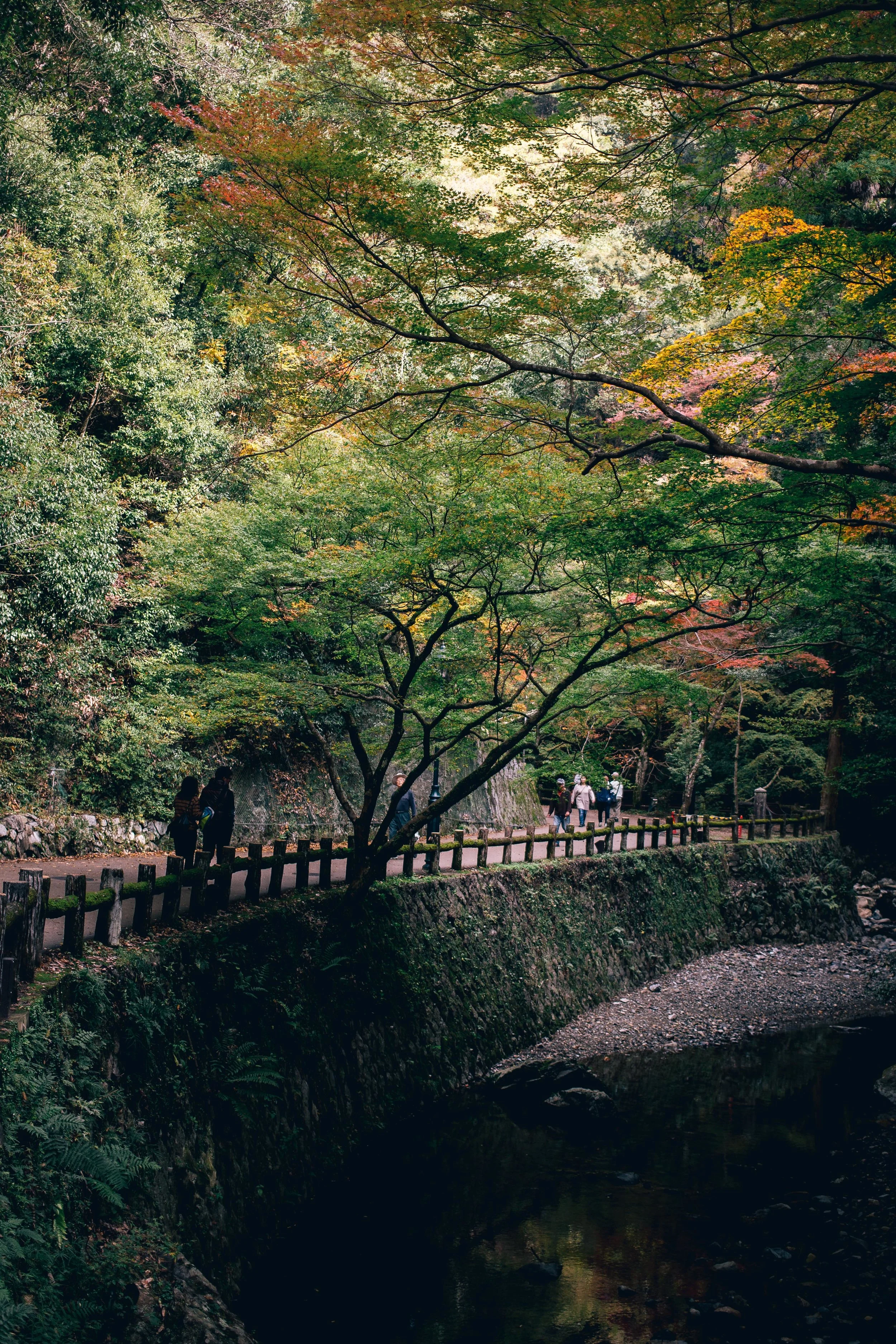 Japan2014_102.jpg