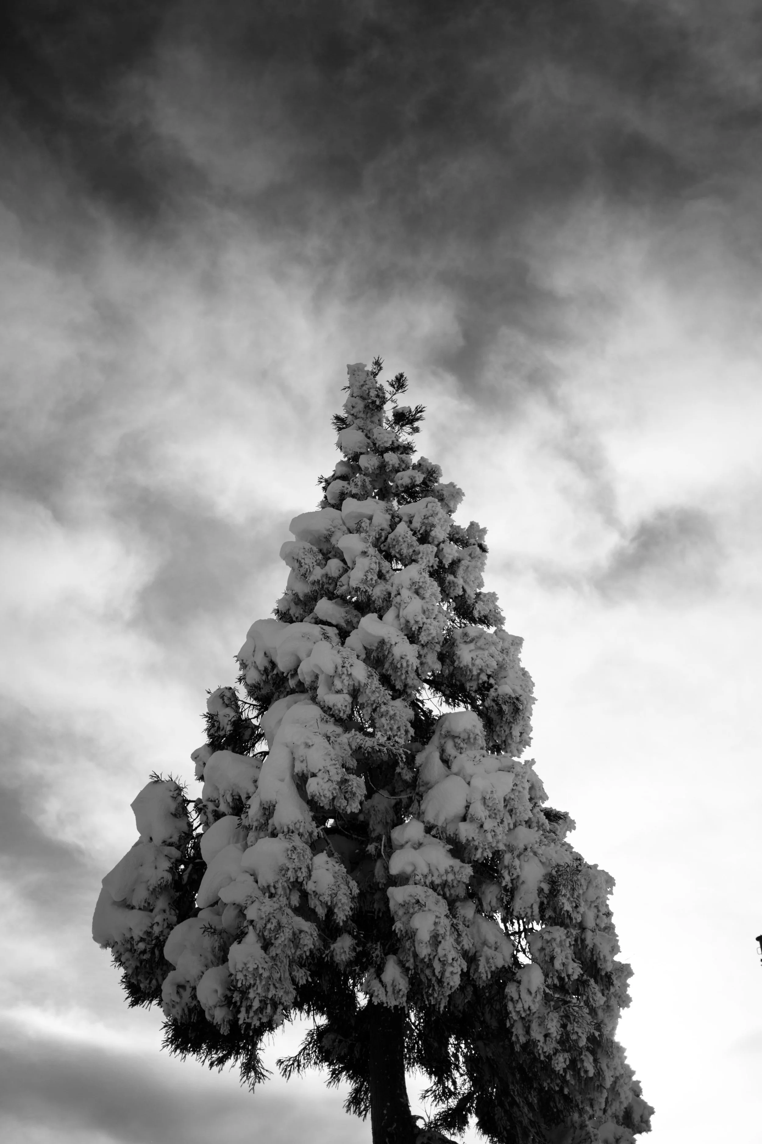 Japan2014_149.jpg