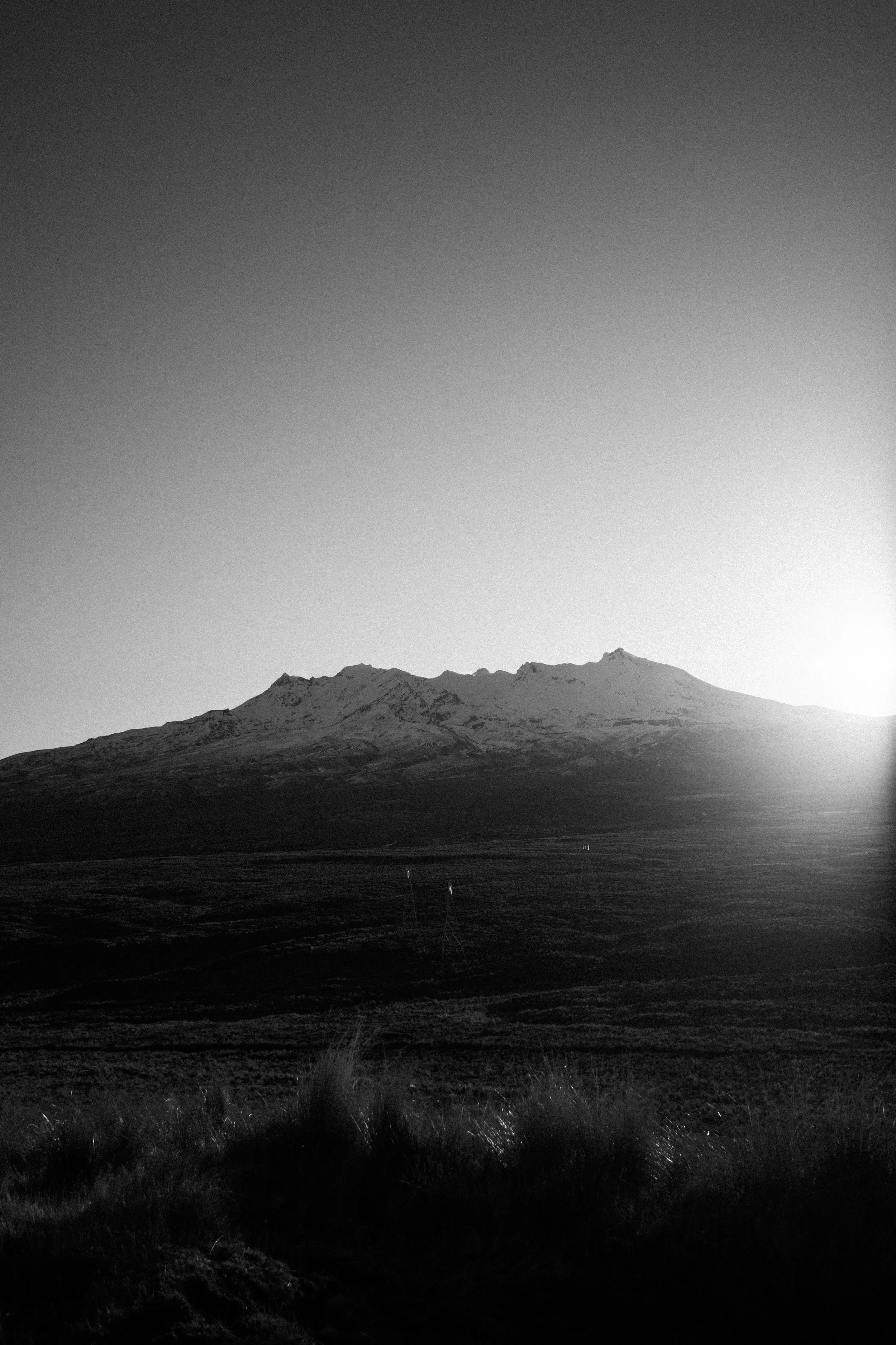 IMG_6237.jpg