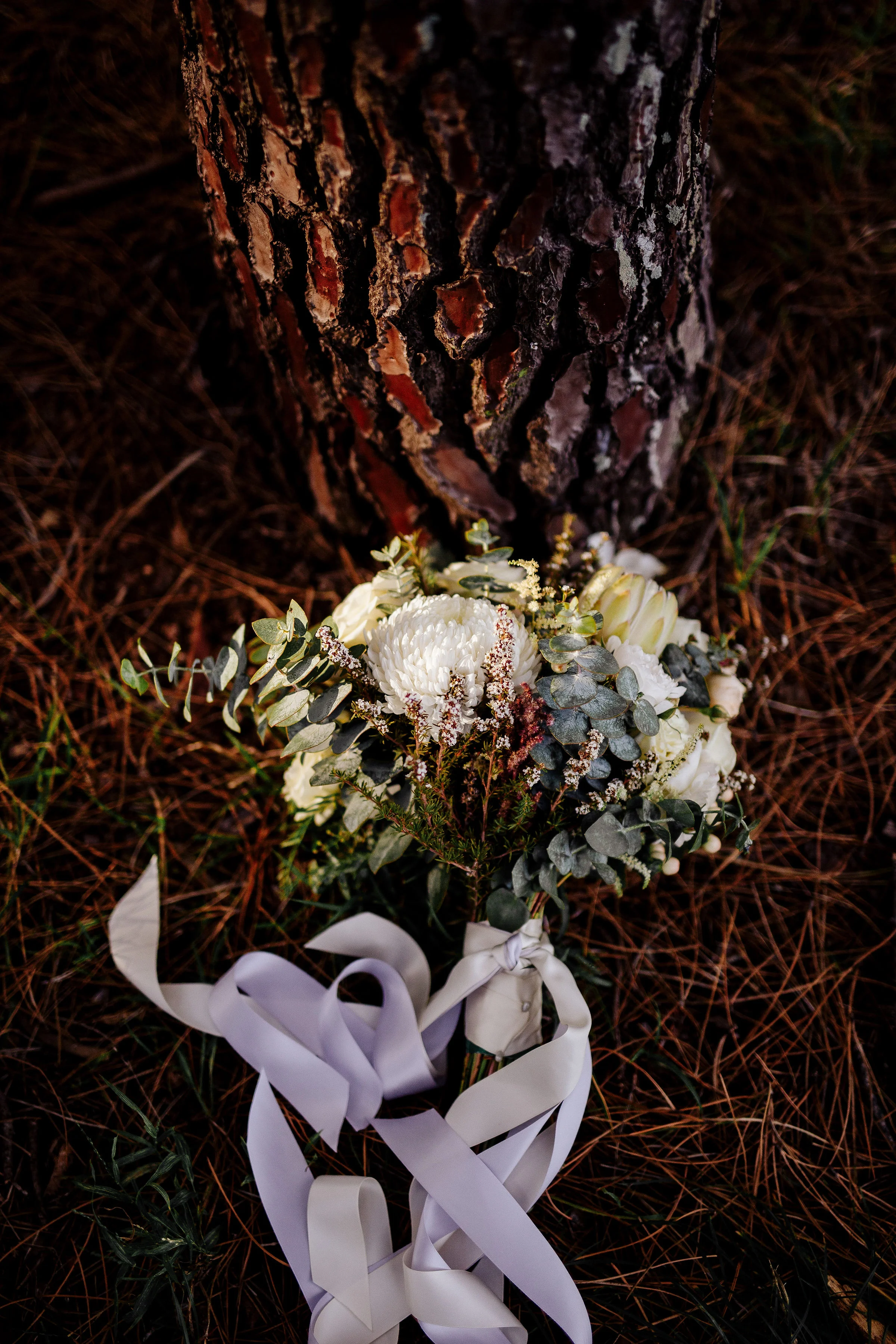 Ian&Hannah_Tyler_Antcliff_Photography-749.jpg