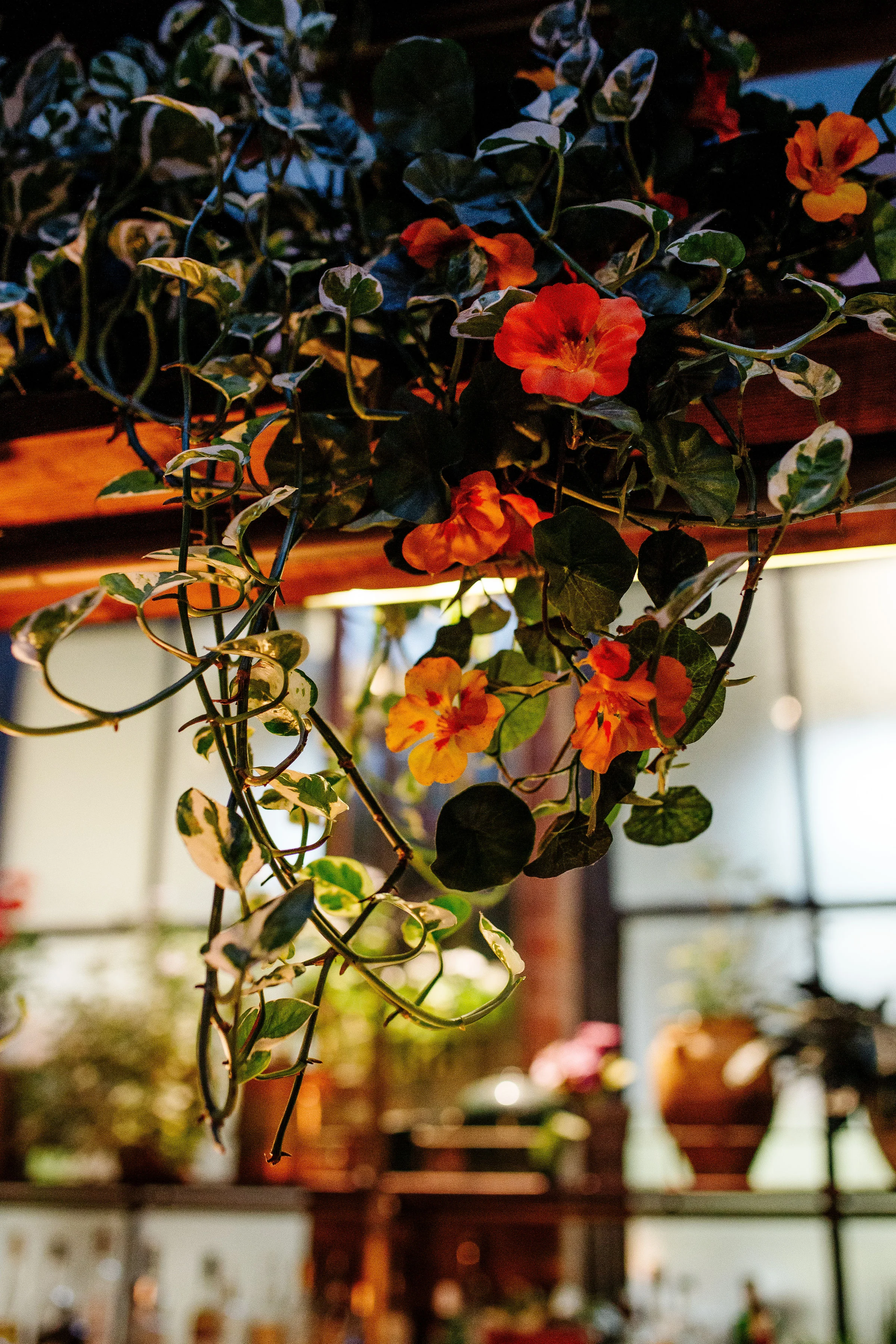 Ian&Hannah_Tyler_Antcliff_Photography-1090.jpg