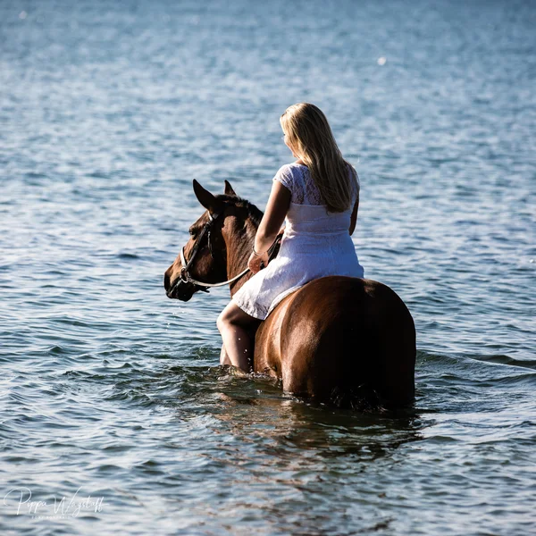 Rising_in_the_sea2.jpg