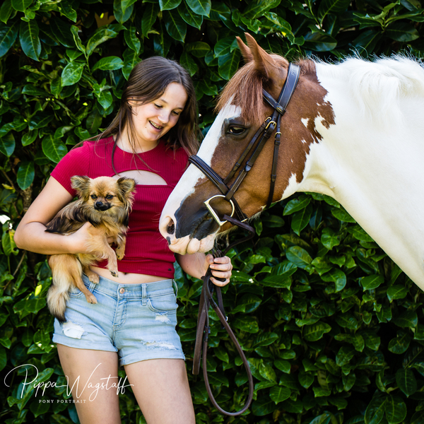 Maisie, Apache & dog.jpg
