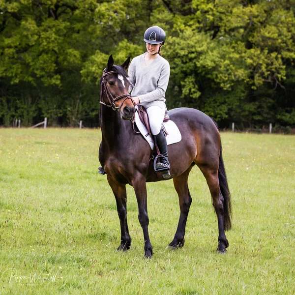 Webp.net-resizeimage (15).jpg