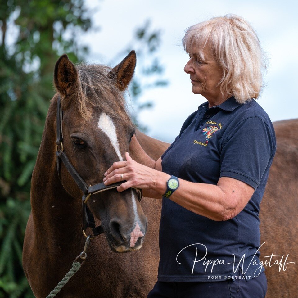 A few weeks ago Tiger Lily had a session with equine therapist, Elaine Mariani. The session was great for loosening up Tiger Lily's muscles and joints and making her much more comfortable. Head over to my blog to read all about Tiger Lily's session.