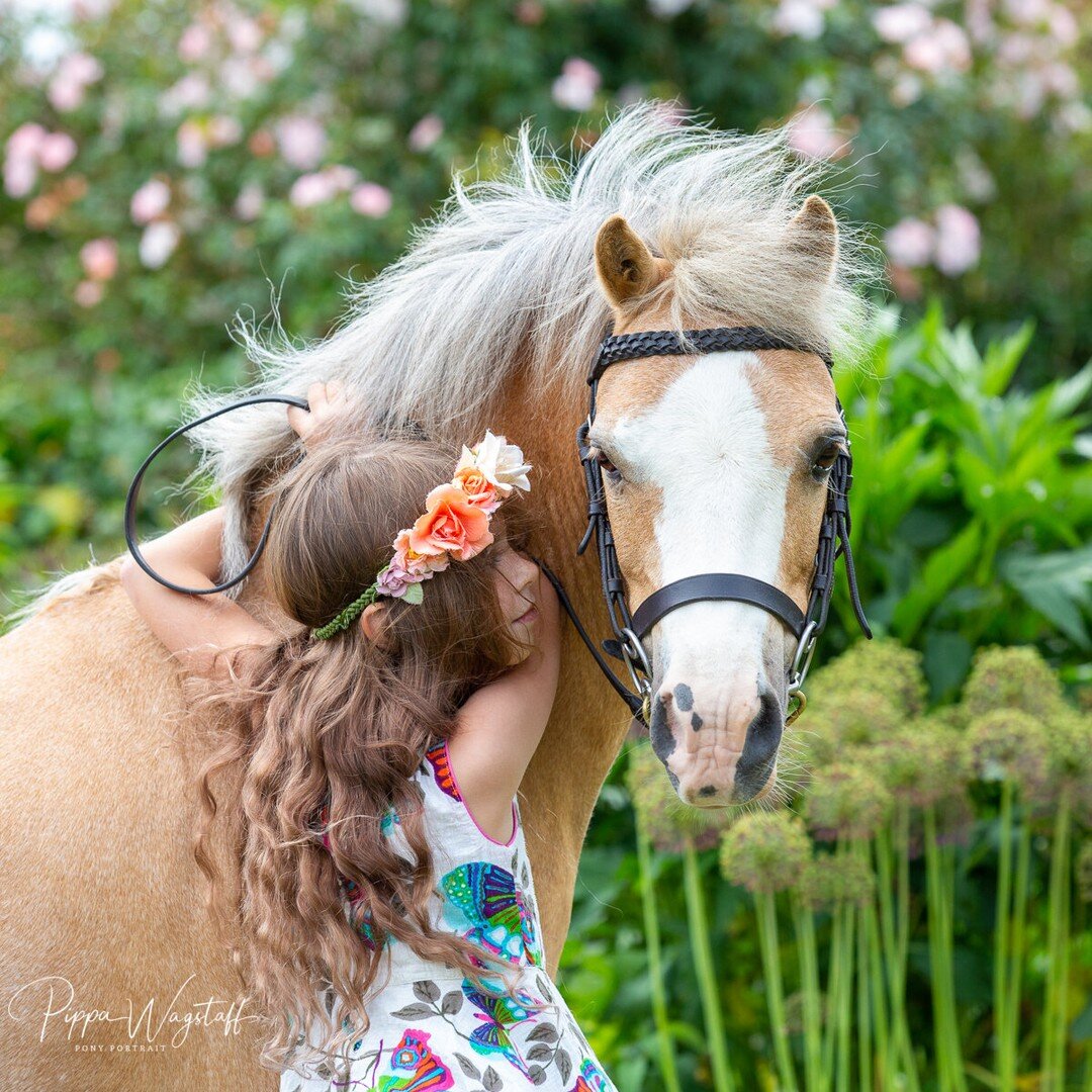 Please read my new blog post

'I love working with children and their ponies'
https://ponyportrait.com/equine-photography-blog/9yzjzjl9g94xe355s84a6kr7kfrrs9-l9lpf

#horsesofinstagram #equinephotographer #equinephotography #nativepony #welshpony