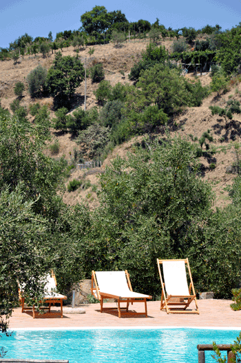 29_20090726_CAPALIA_0179.gif