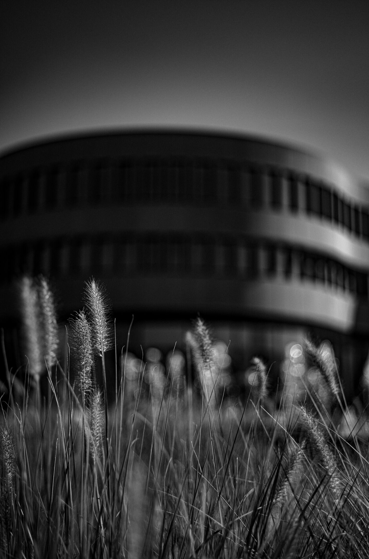 Leitz-Park Wetzlar im September