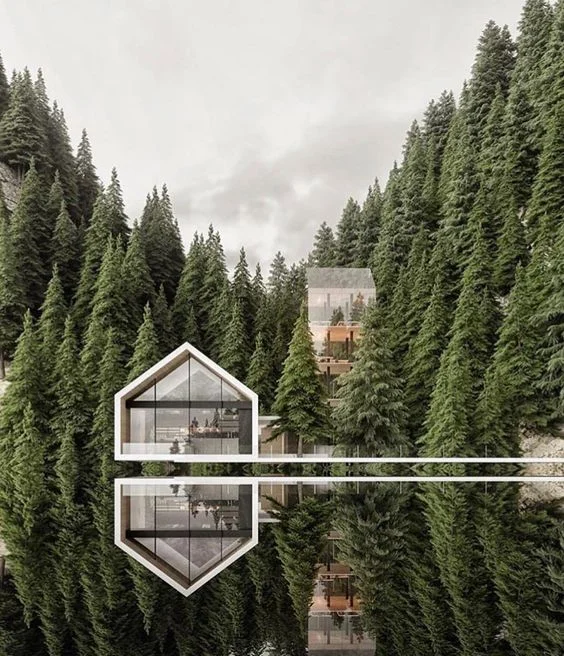 dream home2.jpg