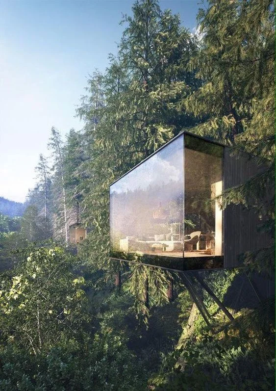 dream home1.jpg