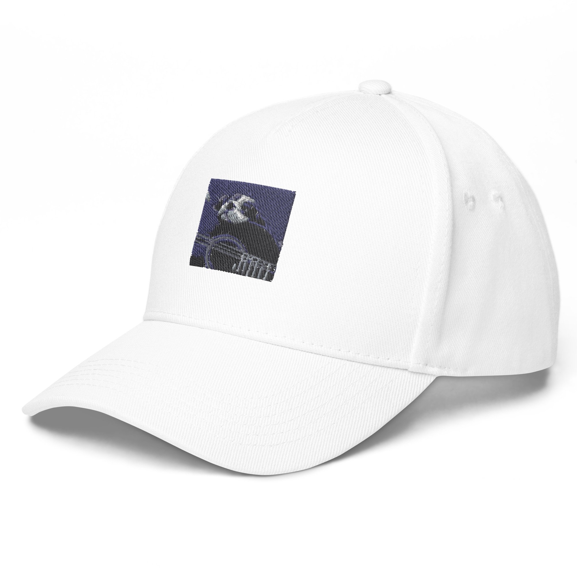 classic-baseball-cap-white-left-front-63b424a2ea964.jpg