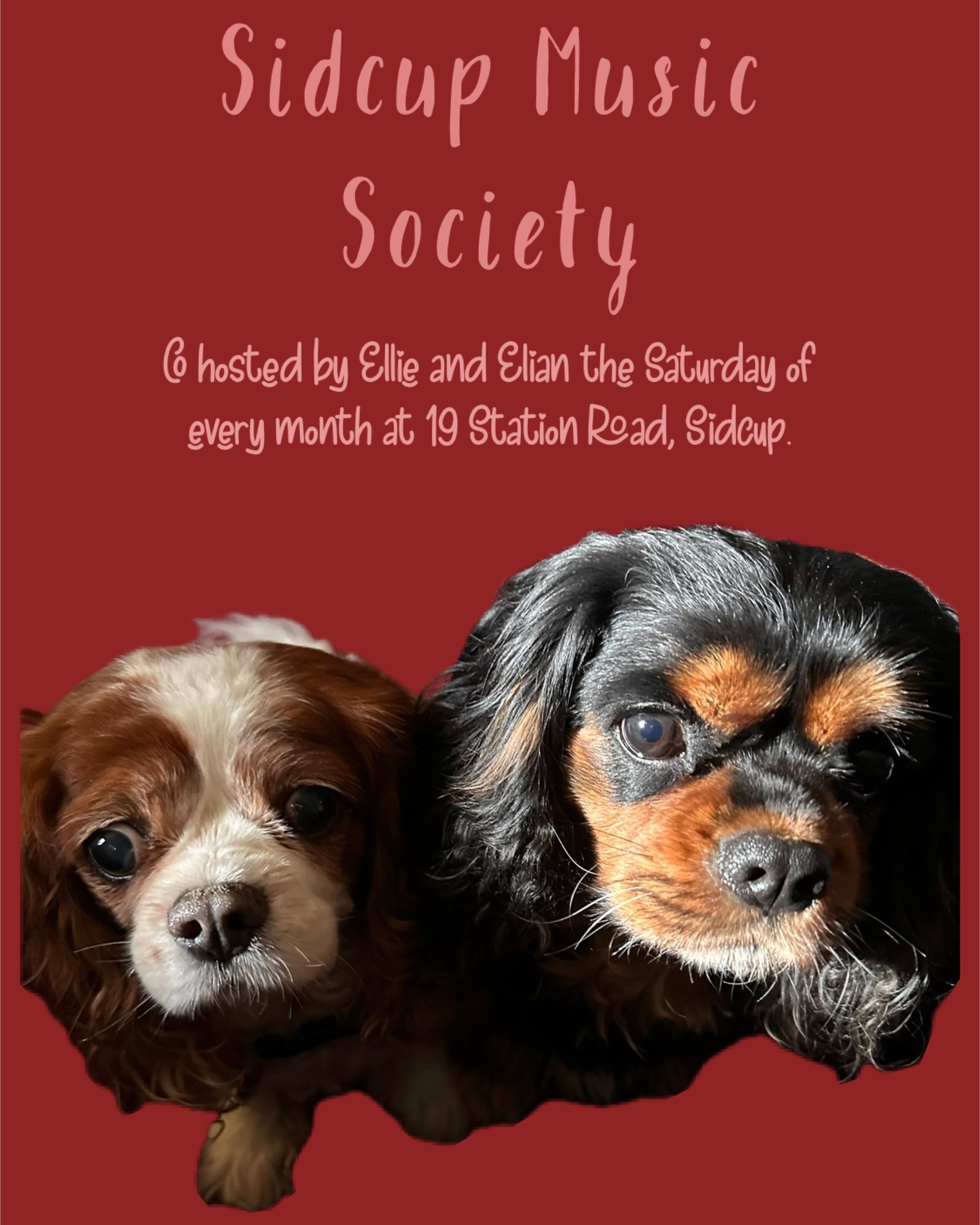 Hosting Sidcup Music Society