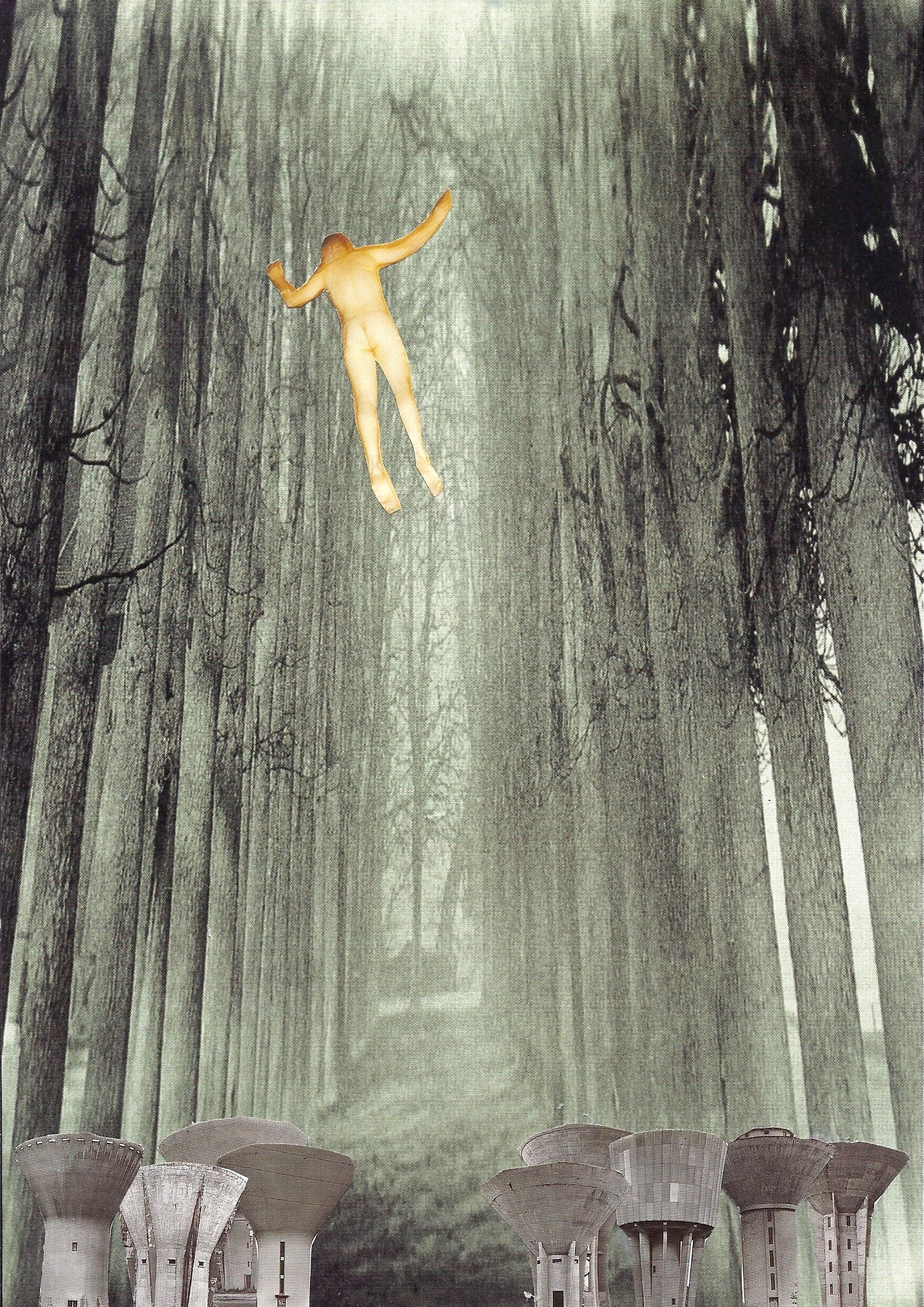 Freefall