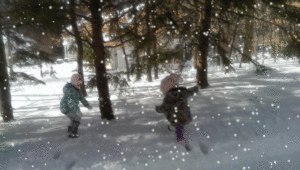 snow-snow-pic-300x170.gif