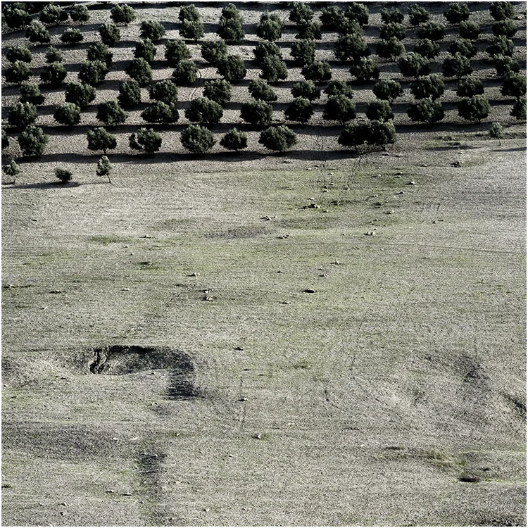 Moroccan landscape in autumn #46