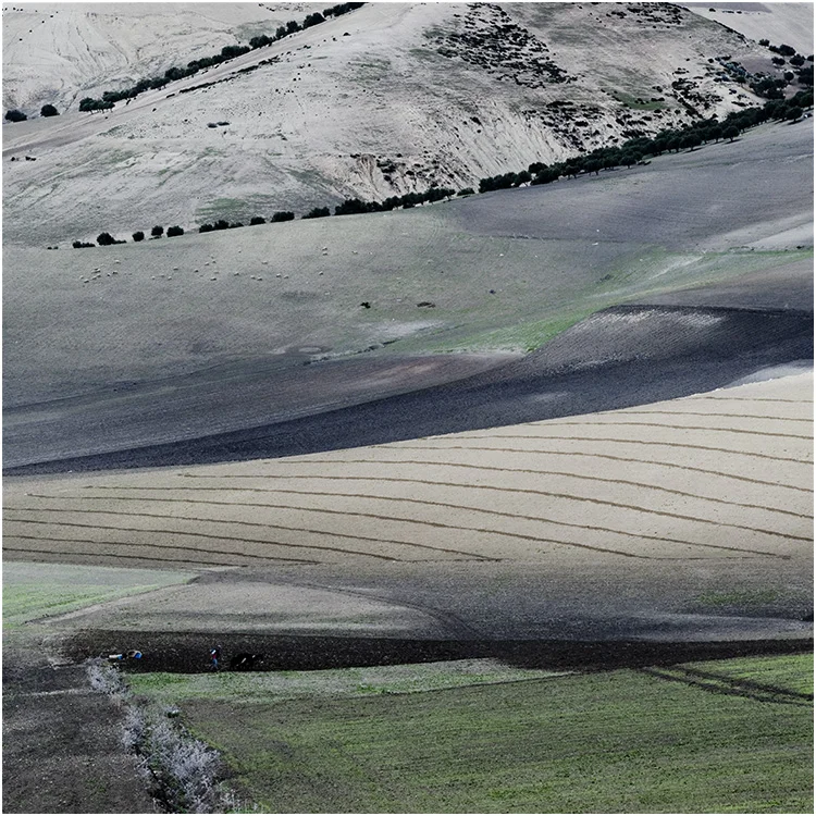 Moroccan landscape in autumn #14
