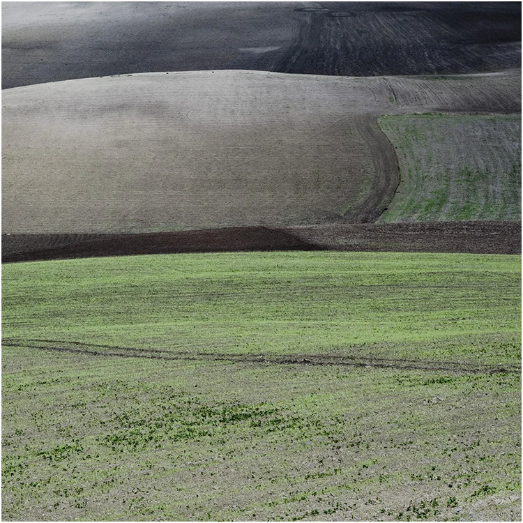 Moroccan landscape in autumn #16