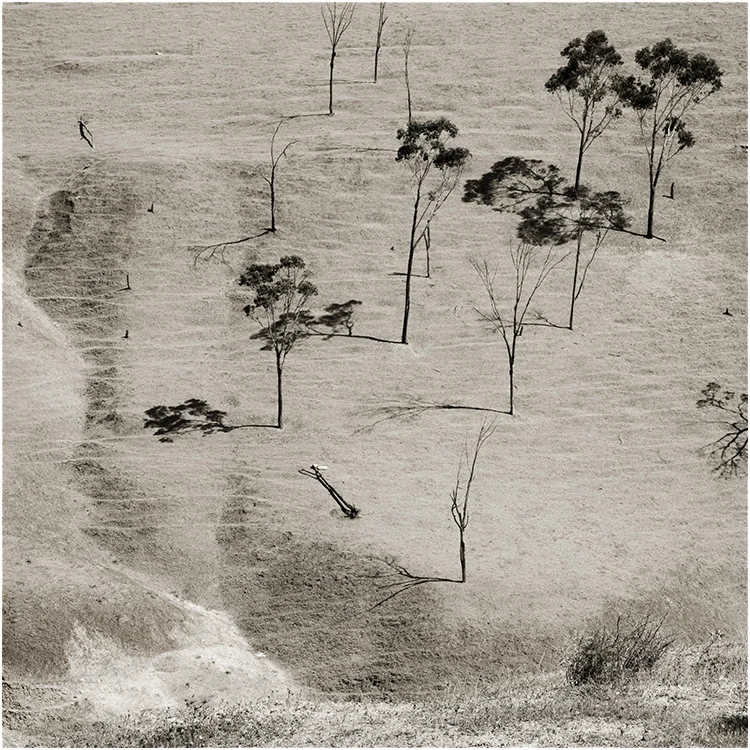 Ombres fidèles