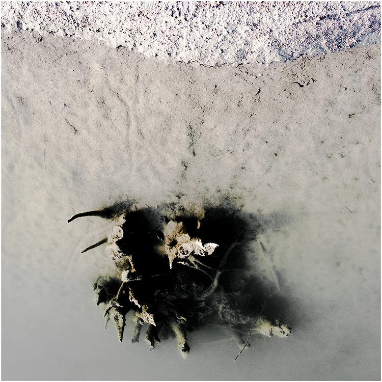 Atlantide