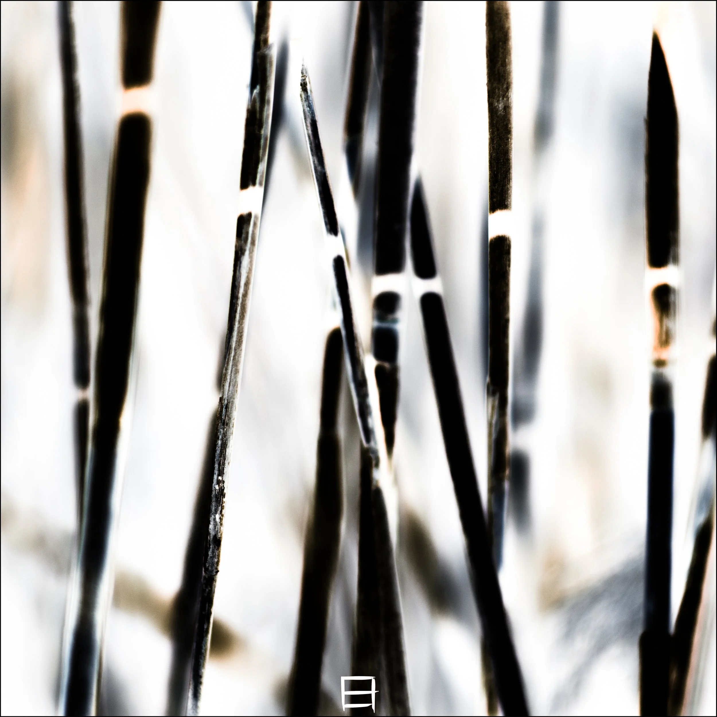 Black brushes