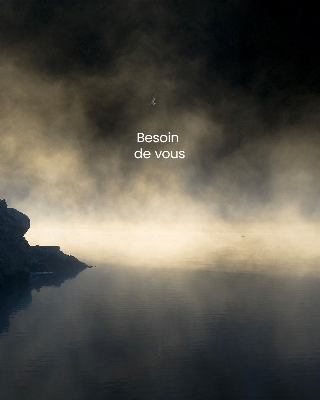 Soutenez ce projet par un don ou un pr&eacute;-achat car c&rsquo;est vous qui avez le pouvoir de permettre l&rsquo;&eacute;dition de ce livre. Merci de votre soutien !

Lien en bio

Support this project with a donation or a pre-order, because you hav