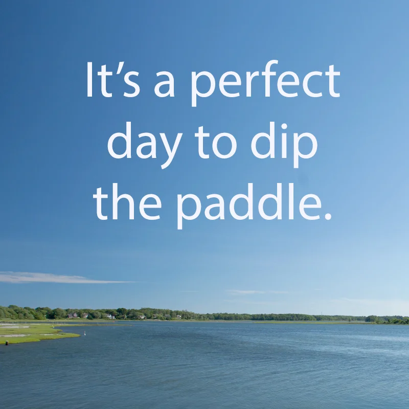 Perfect Day