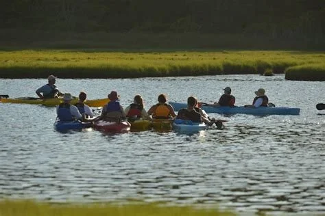 sunset tour.jpg