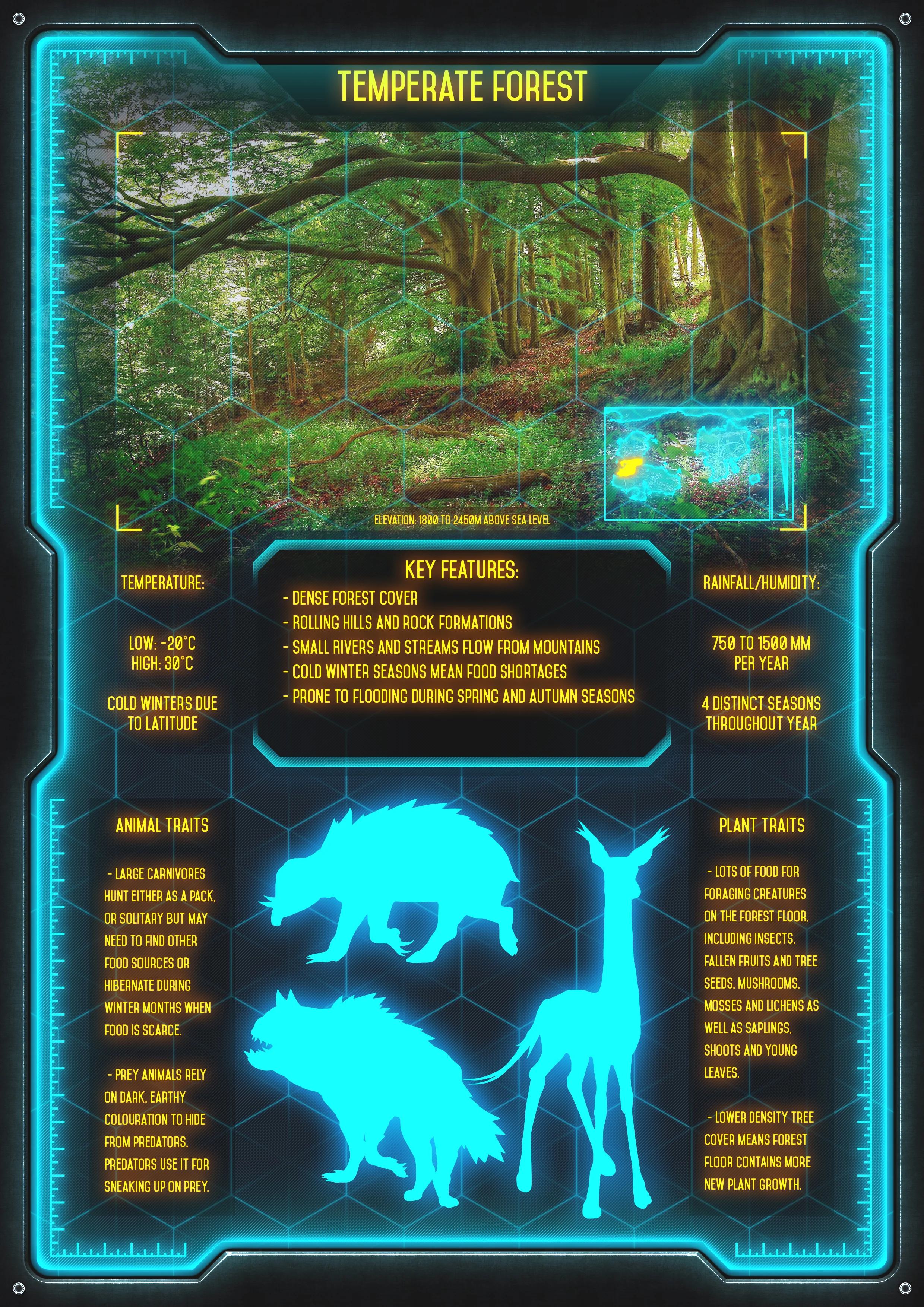 004_TEMPERATE_FOREST.jpg