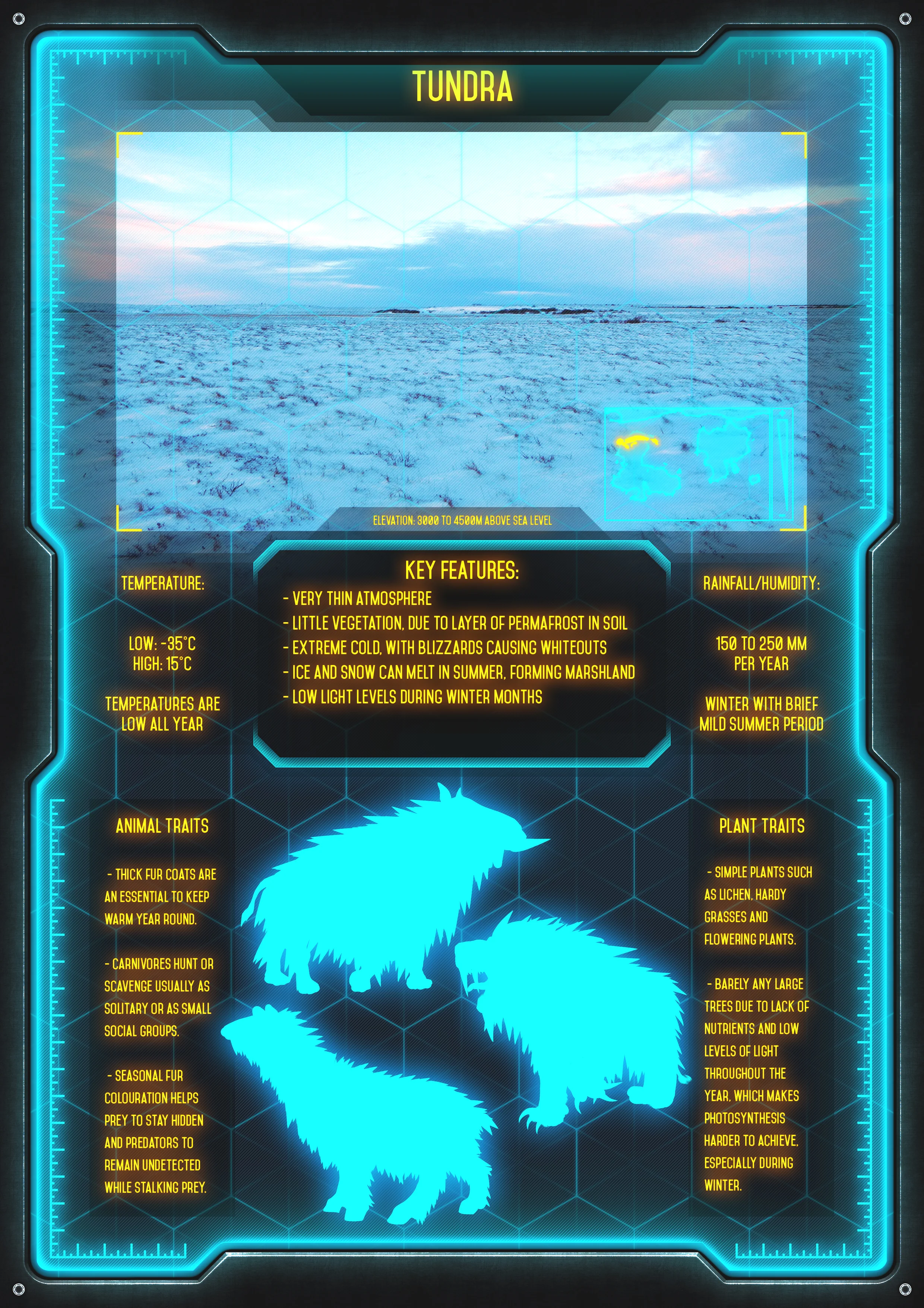 006_TUNDRA.jpg